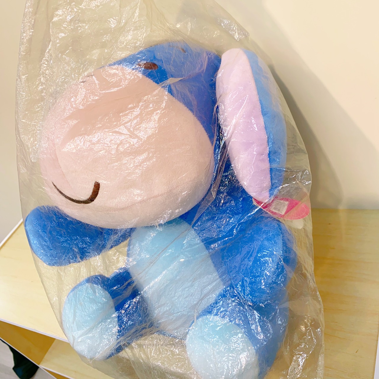 圖片載入錯誤