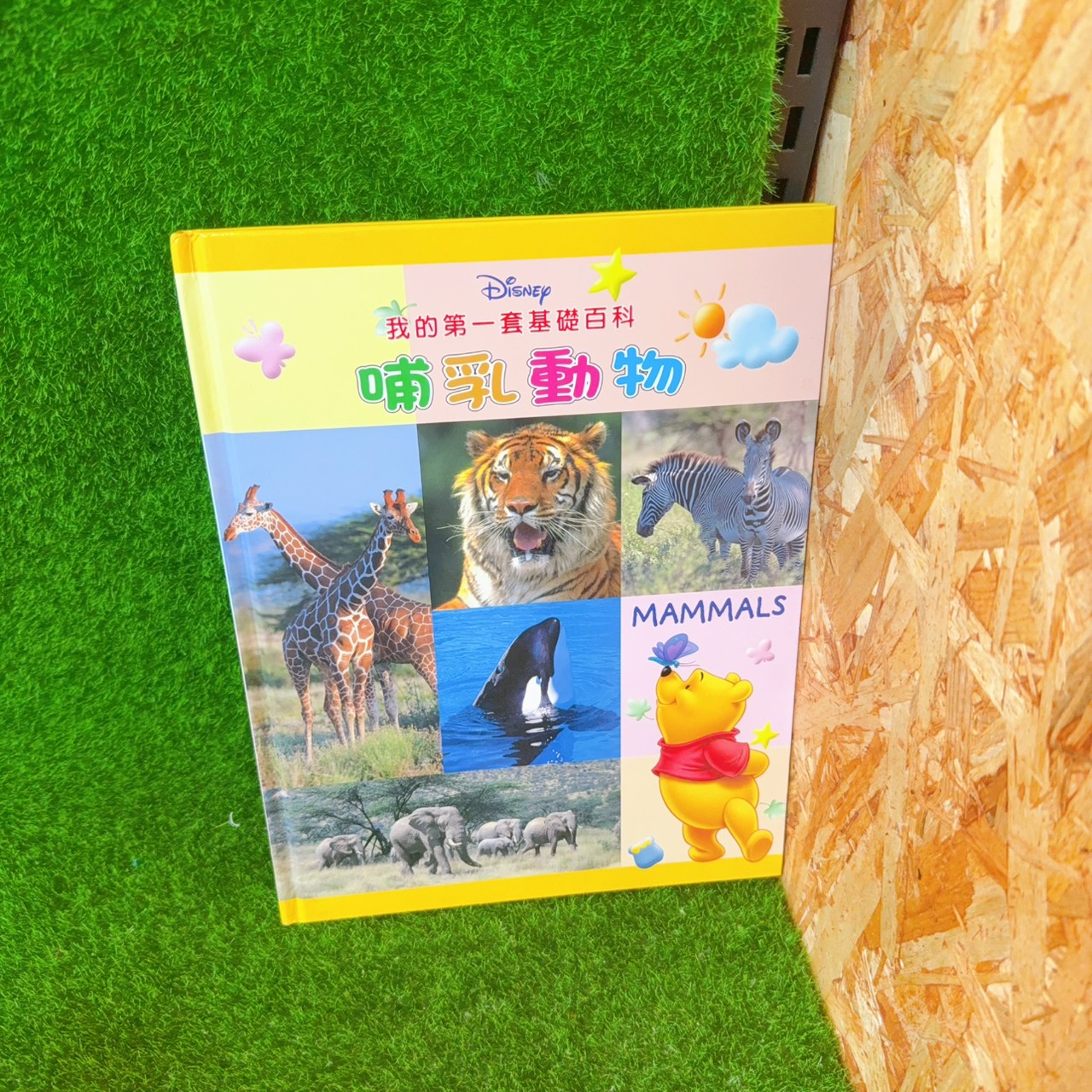 圖片載入錯誤