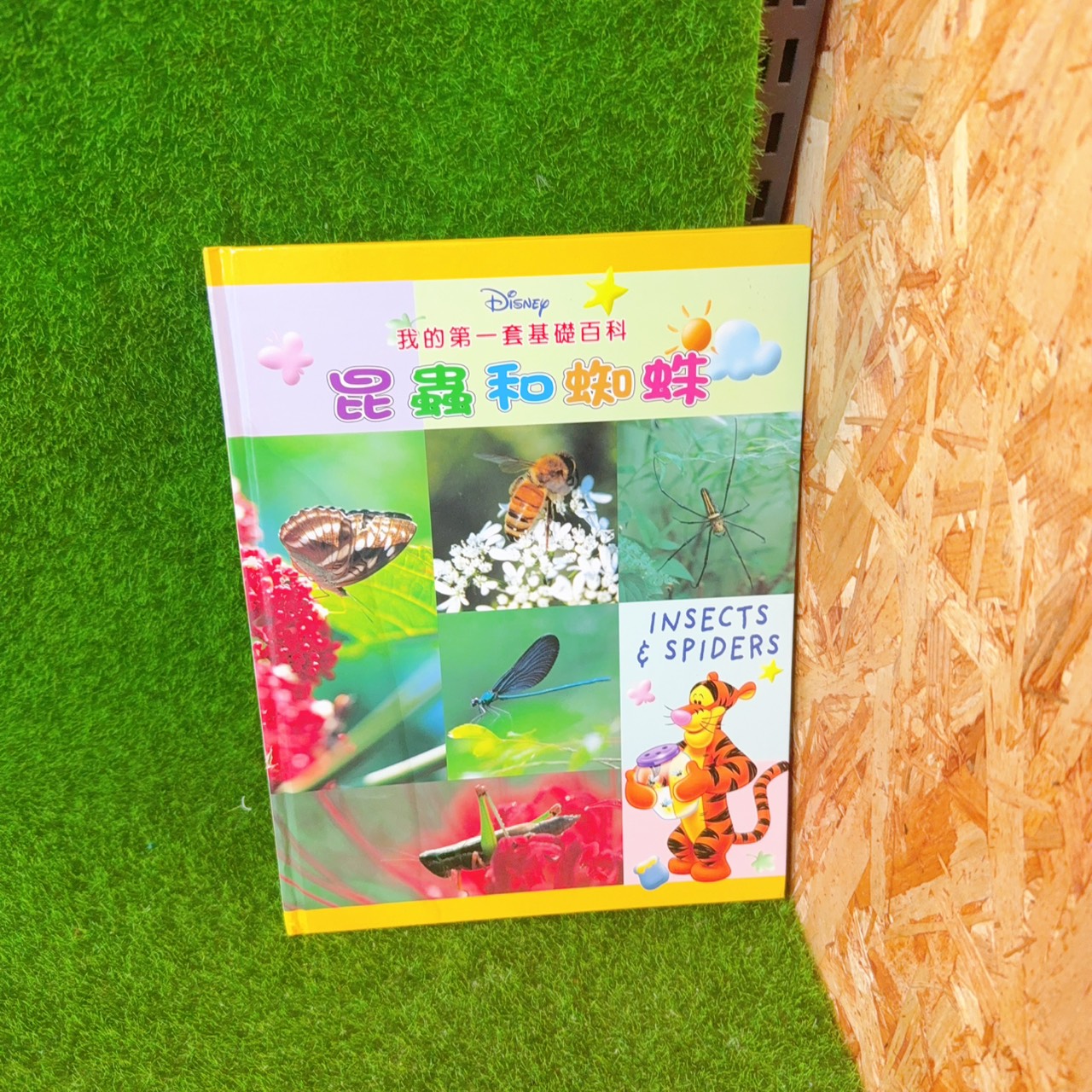 圖片載入錯誤