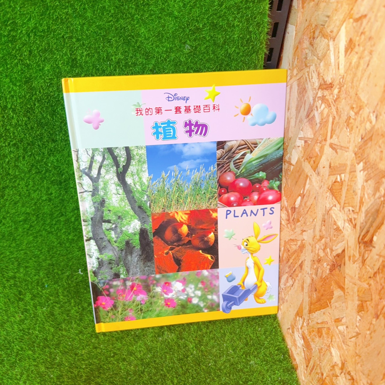 圖片載入錯誤