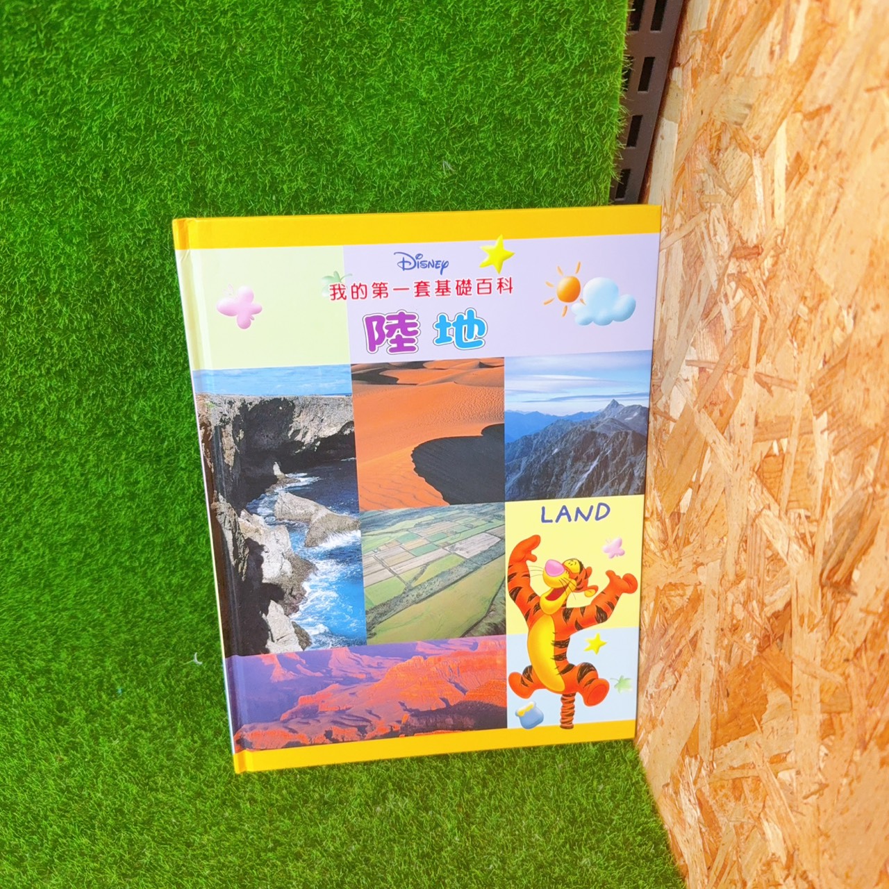 圖片載入錯誤
