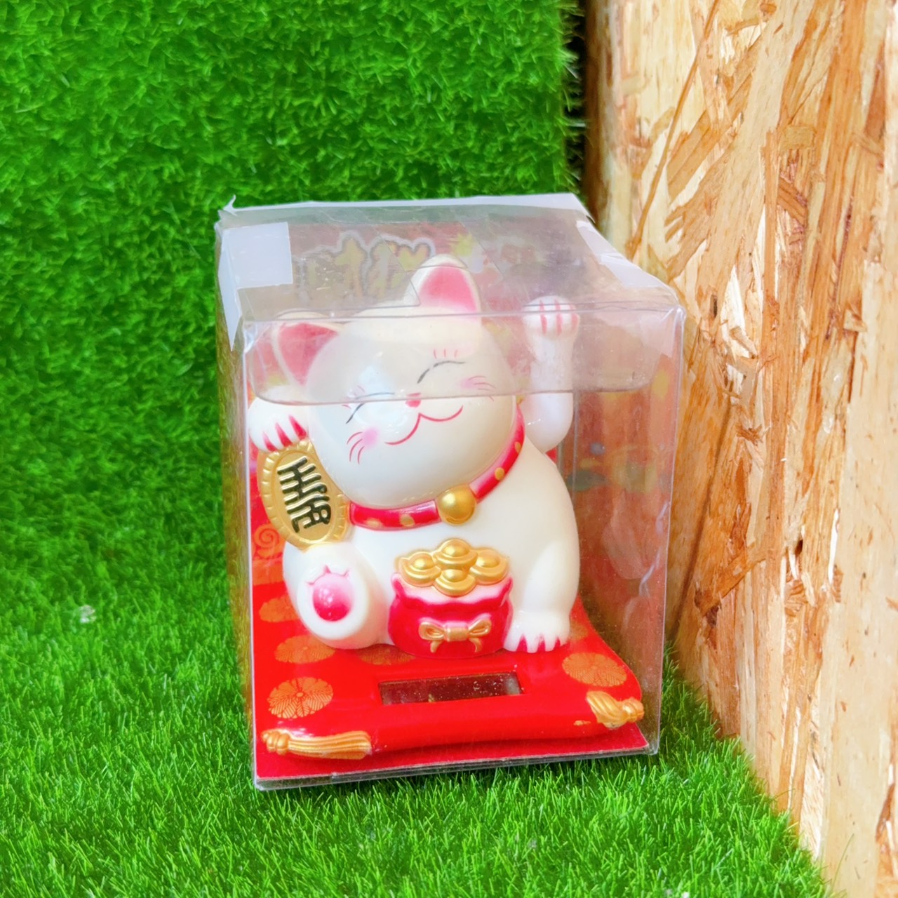 圖片載入錯誤