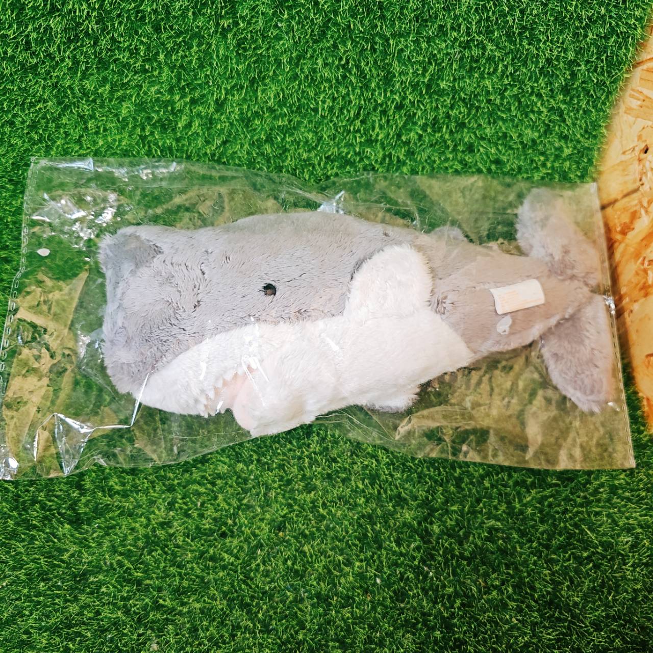 圖片載入錯誤