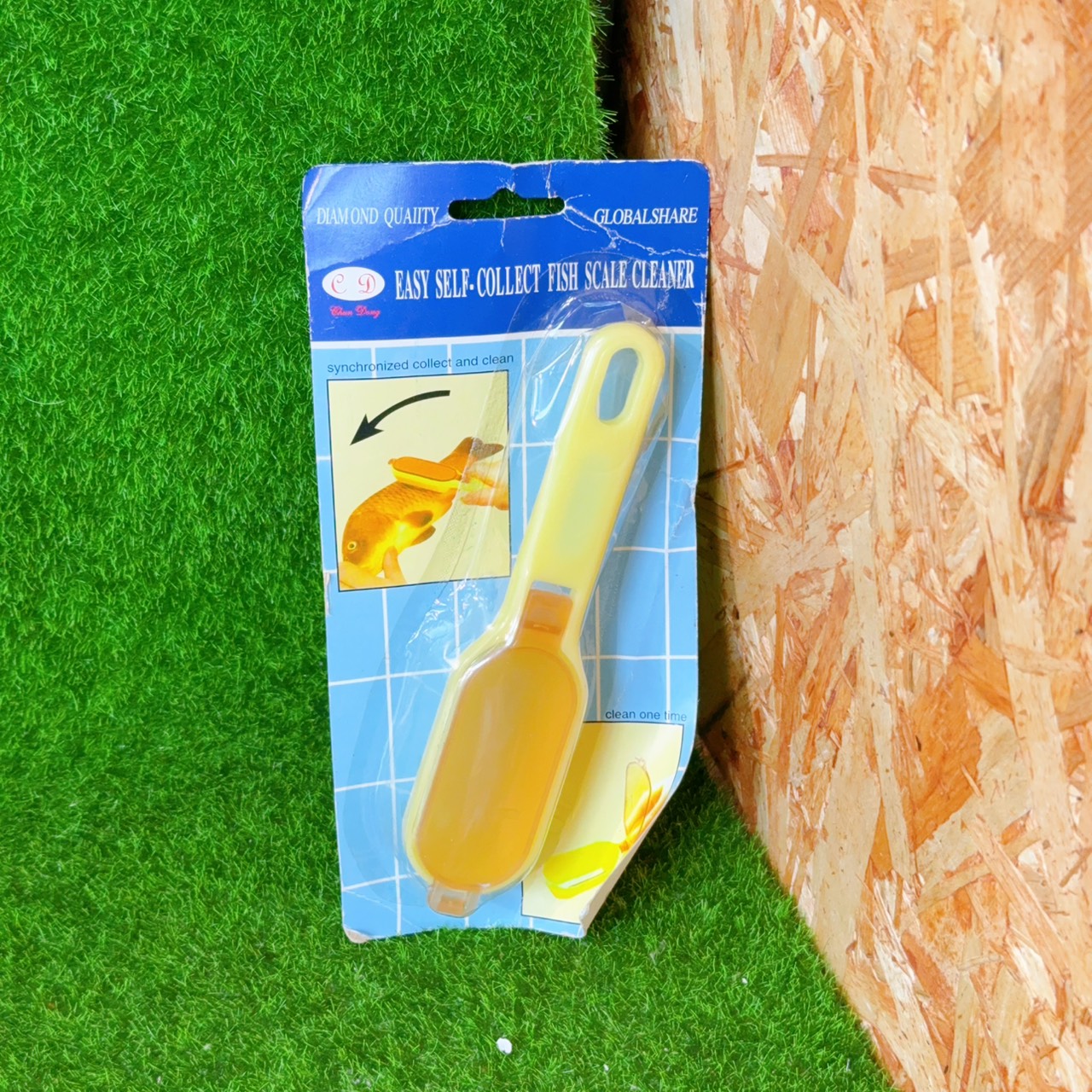圖片載入錯誤