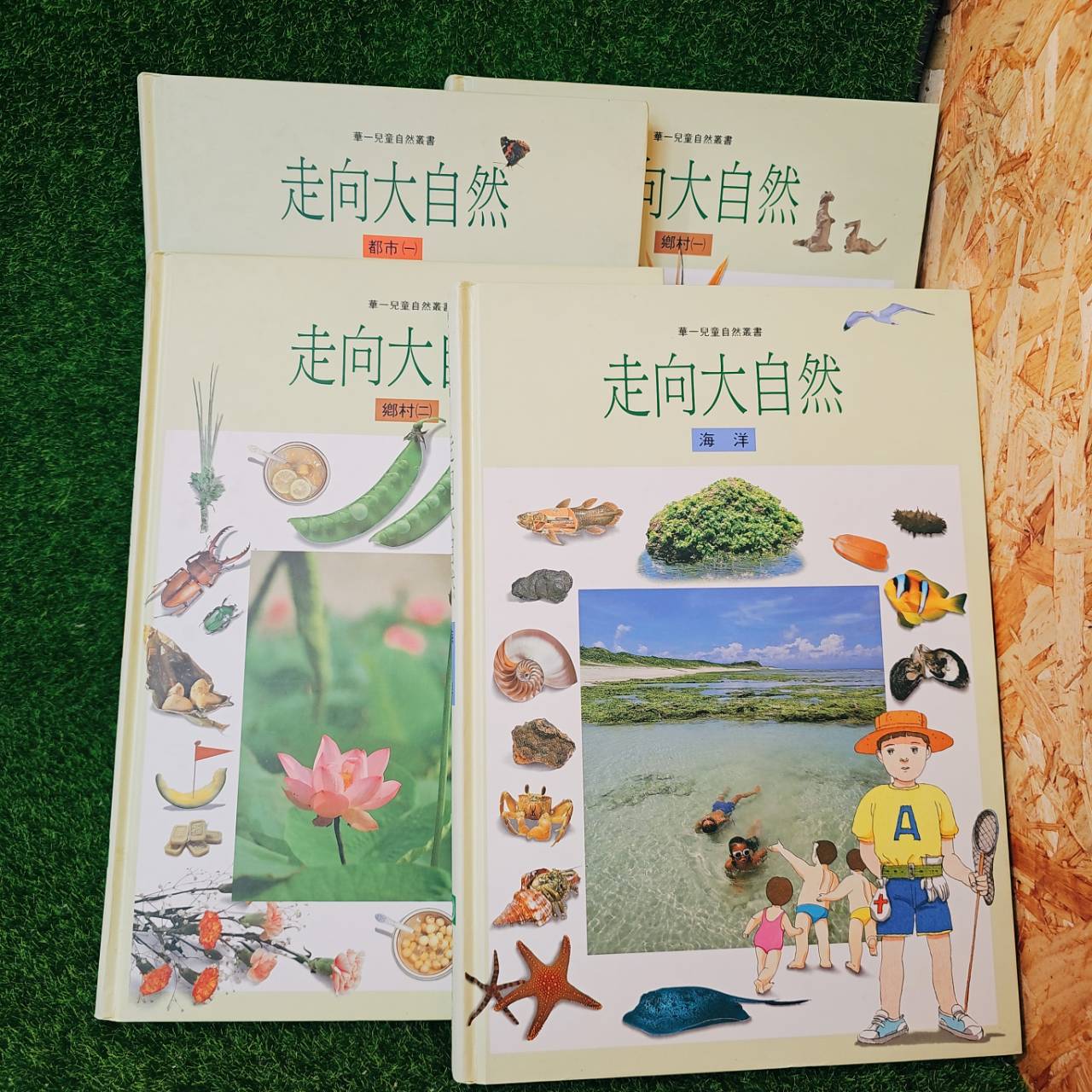 圖片載入錯誤