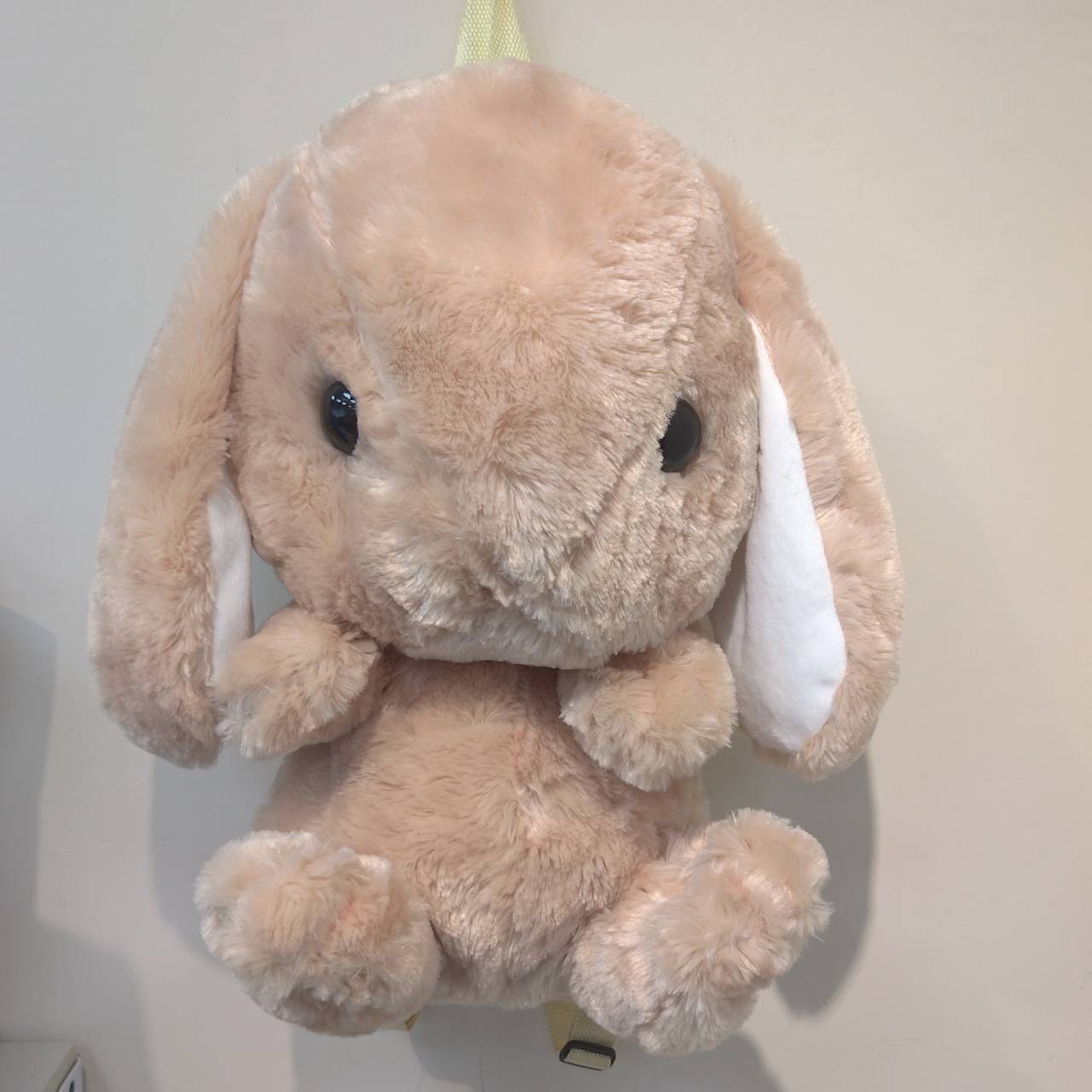 圖片載入錯誤