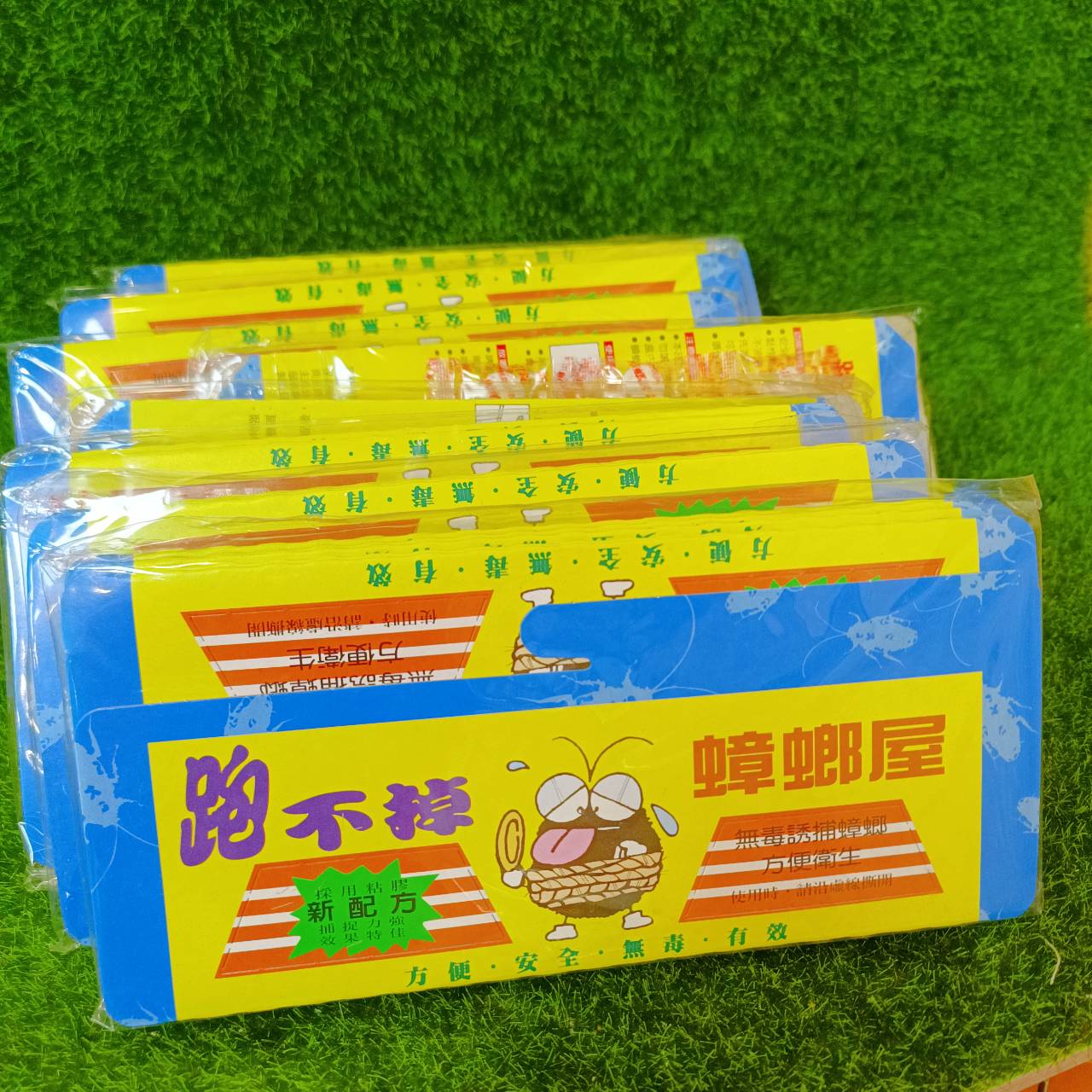 圖片載入錯誤