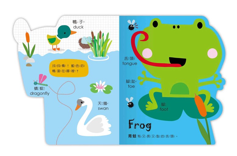 圖片載入錯誤