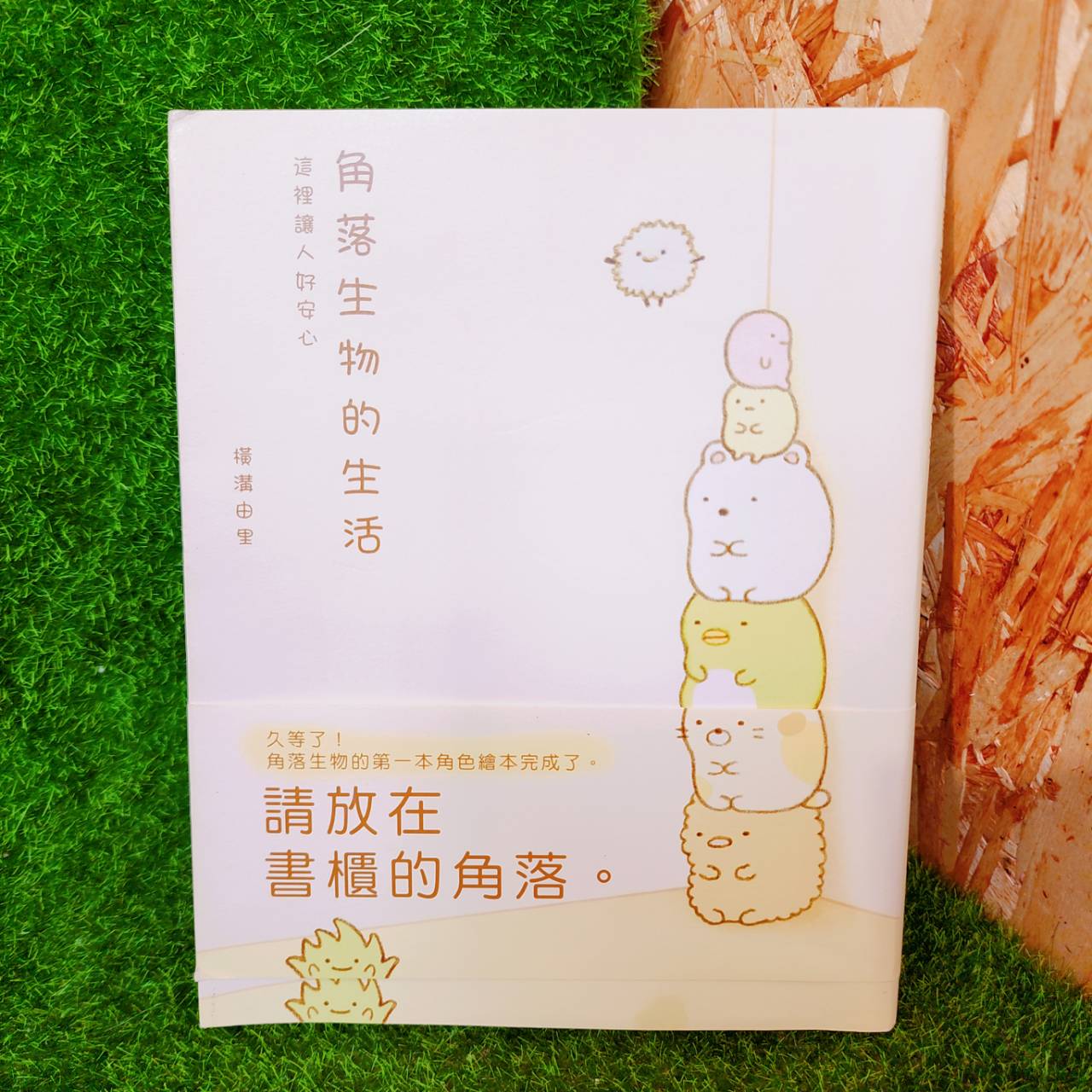圖片載入錯誤