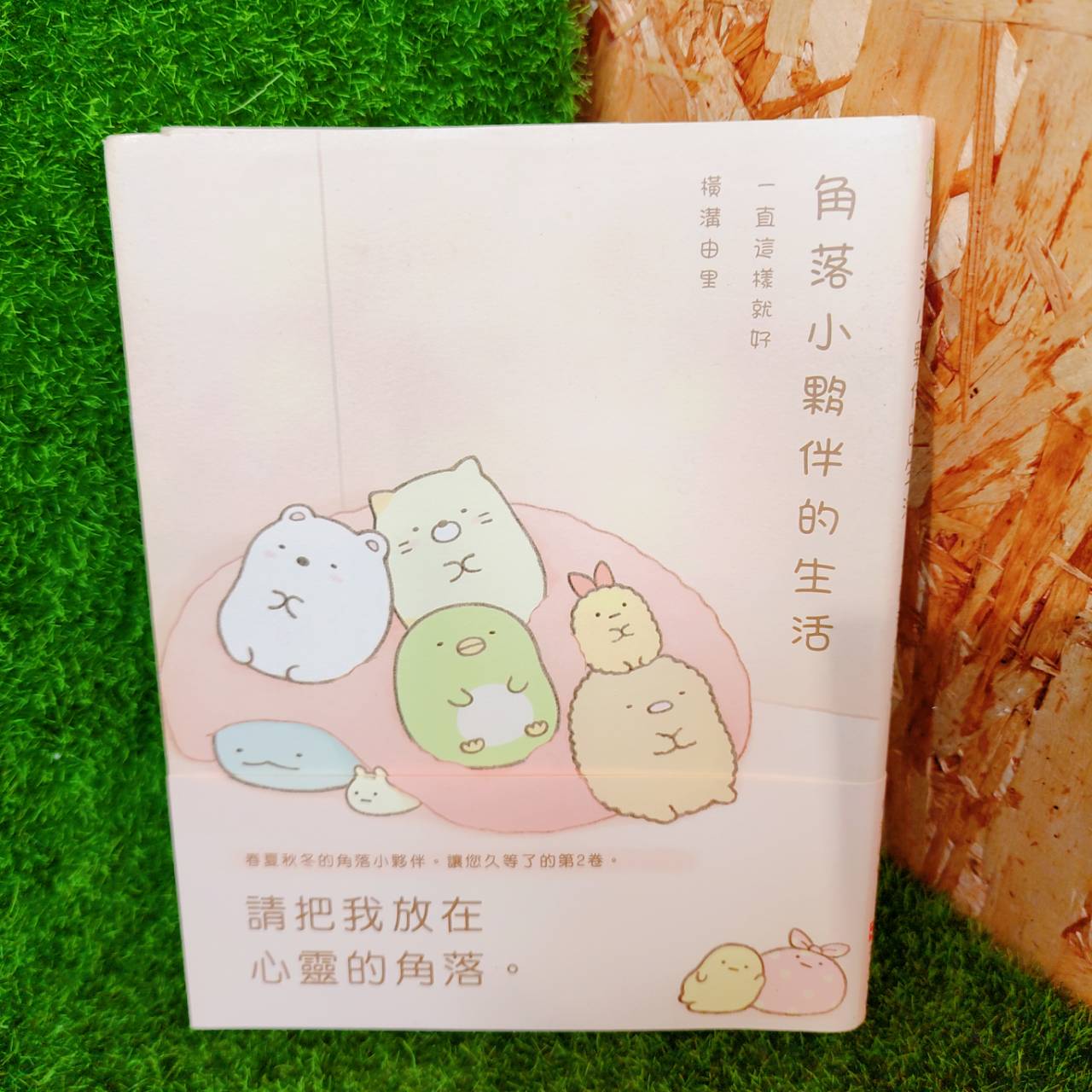 圖片載入錯誤