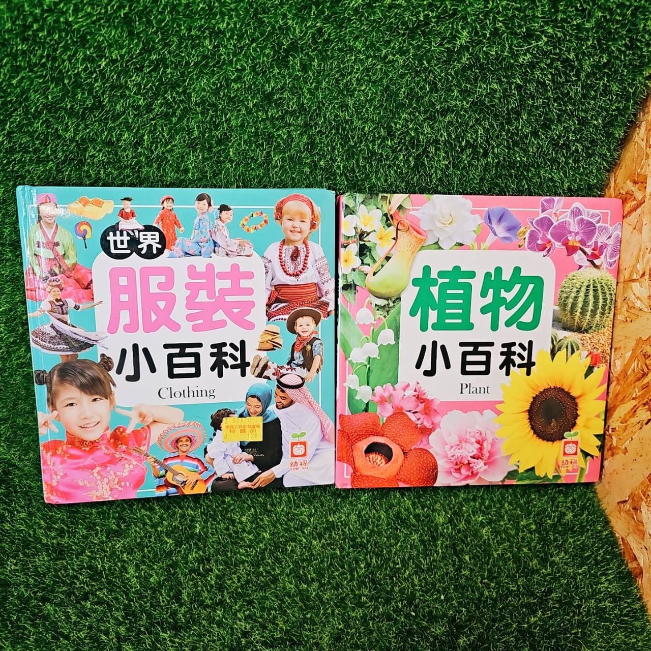 圖片載入錯誤