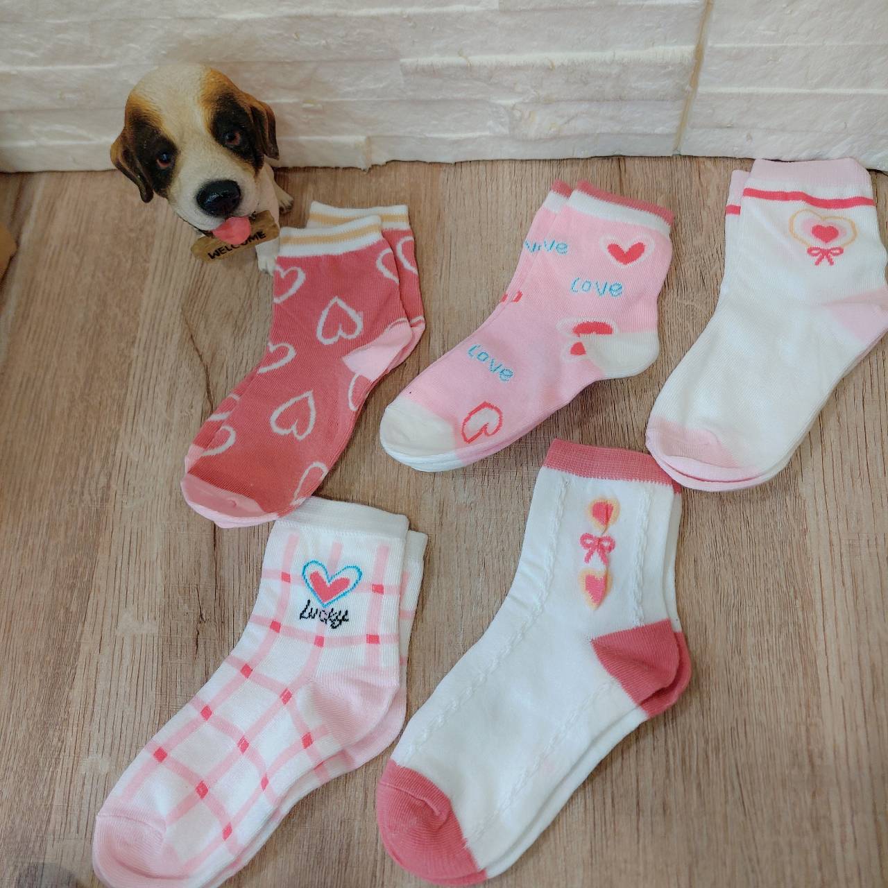 圖片載入錯誤