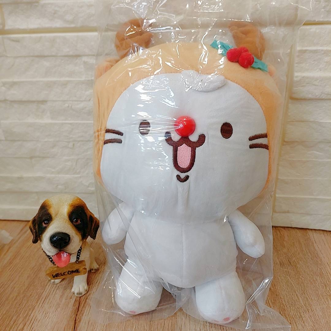 圖片載入錯誤