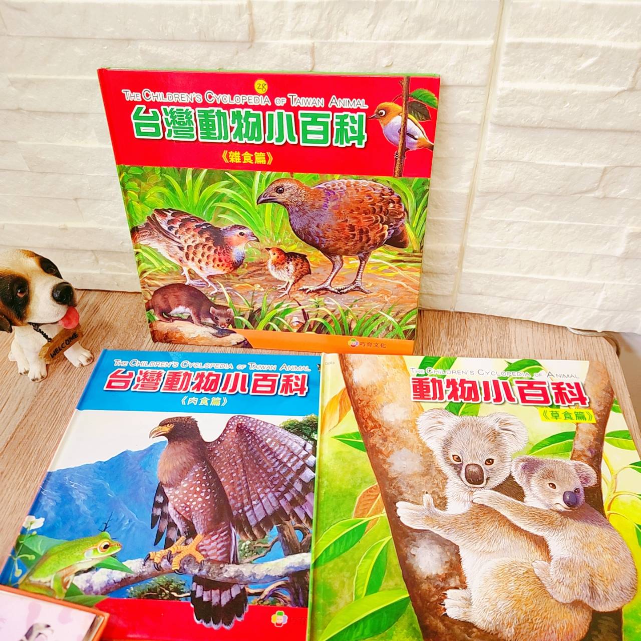 圖片載入錯誤
