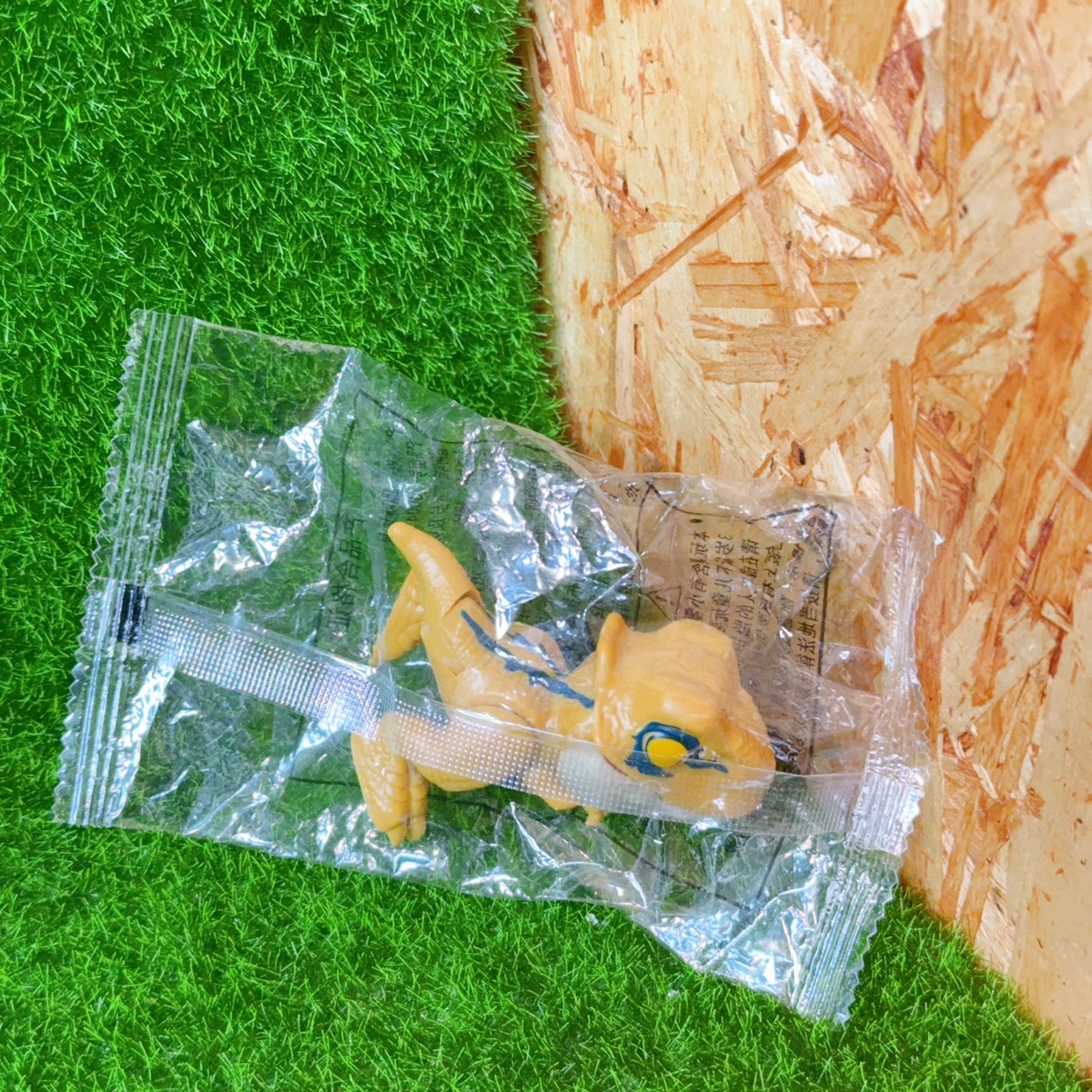 圖片載入錯誤