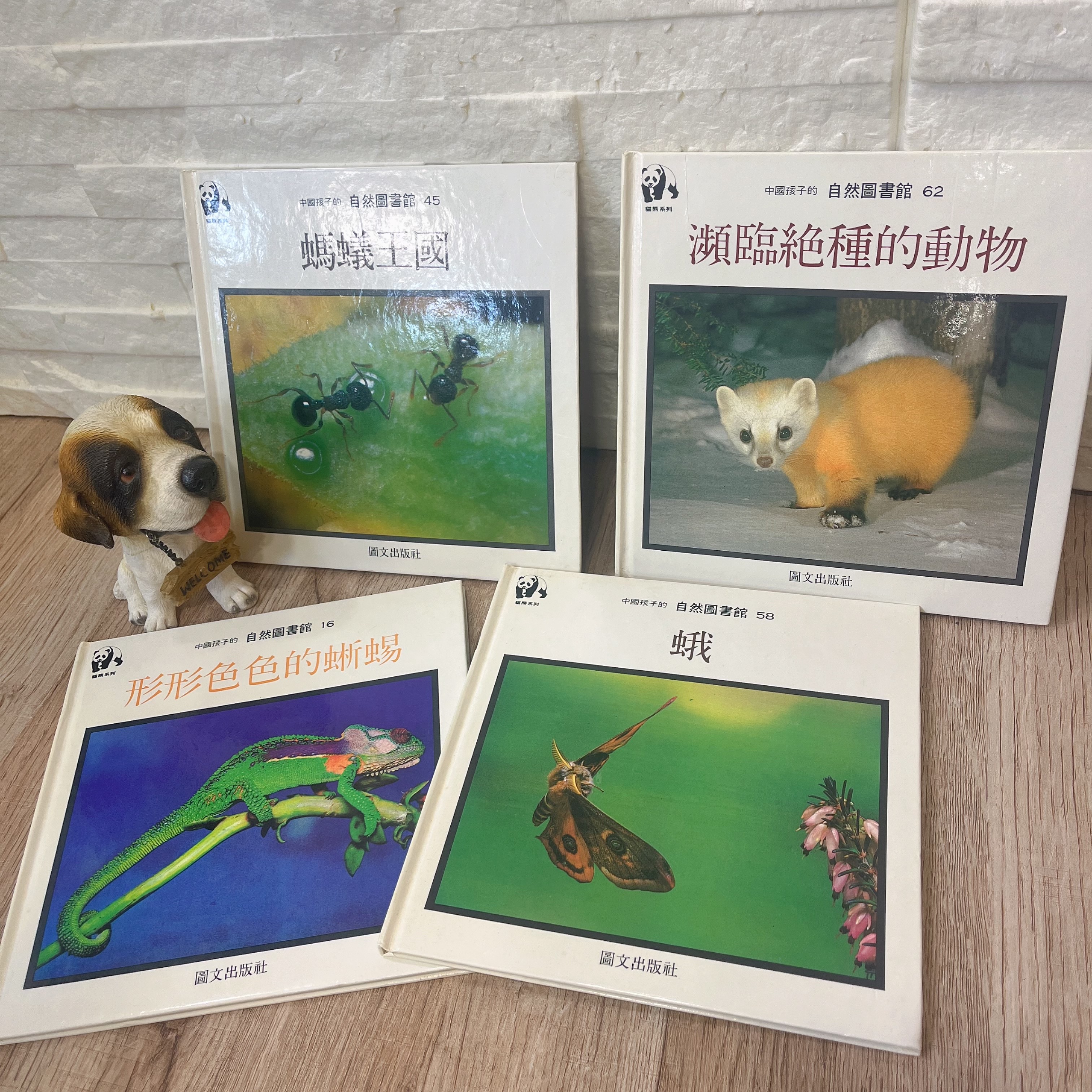 圖片載入錯誤