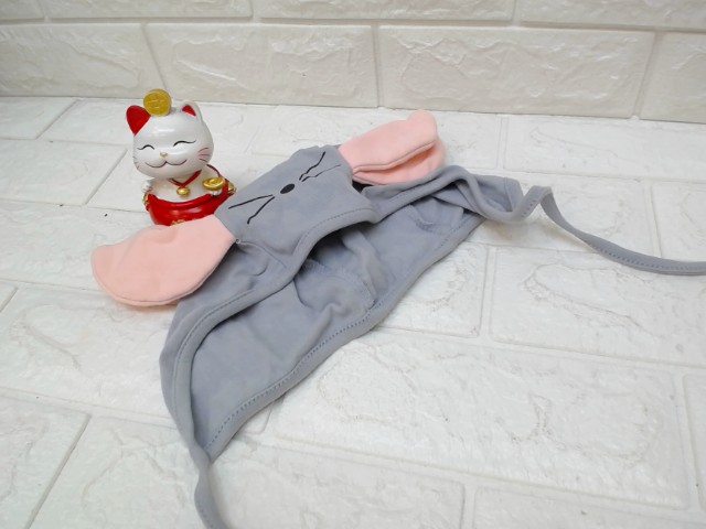 圖片載入錯誤