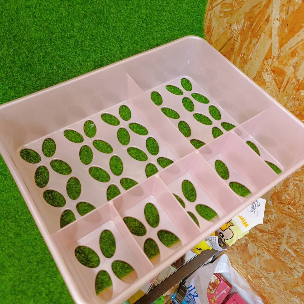 圖片載入錯誤