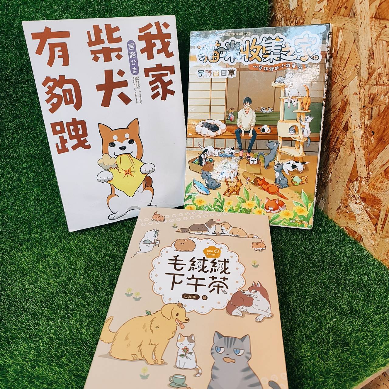 圖片載入錯誤