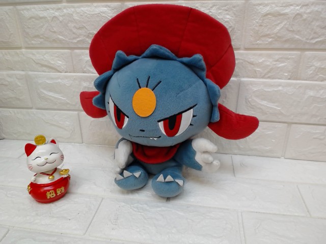 圖片載入錯誤