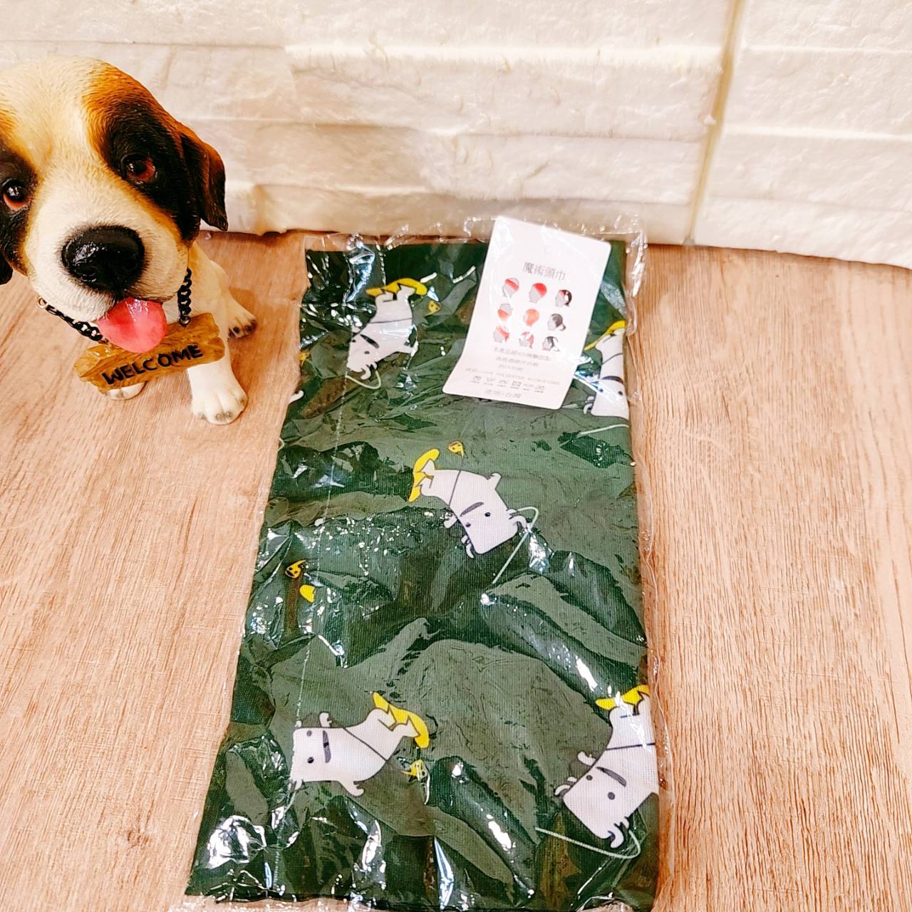 圖片載入錯誤