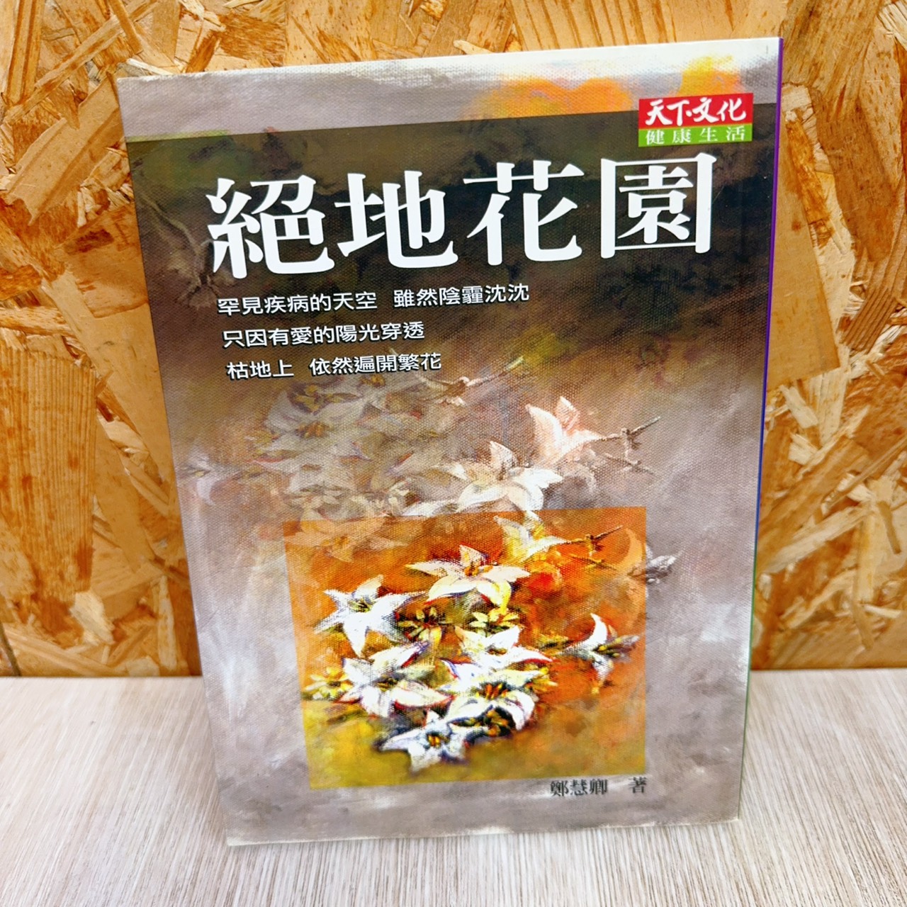 圖片載入錯誤