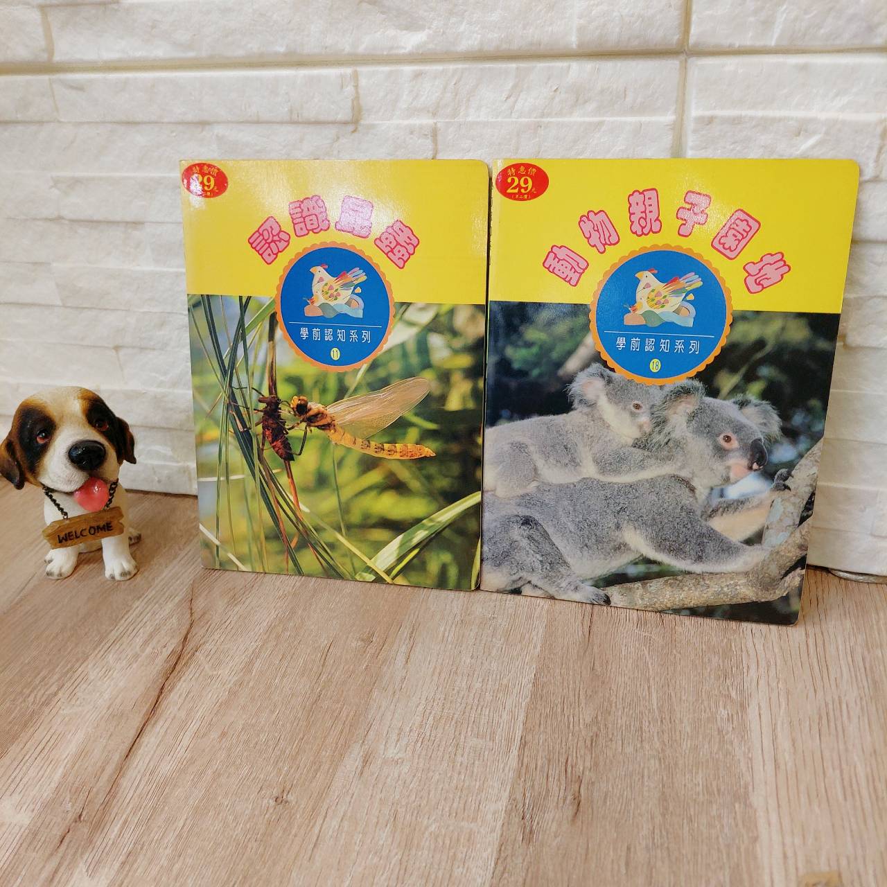 圖片載入錯誤
