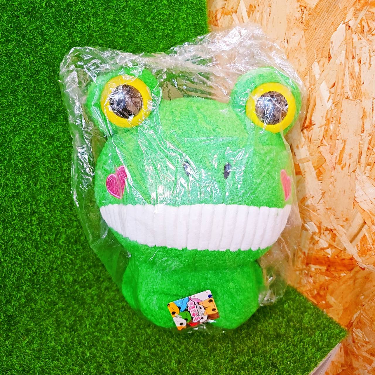 圖片載入錯誤