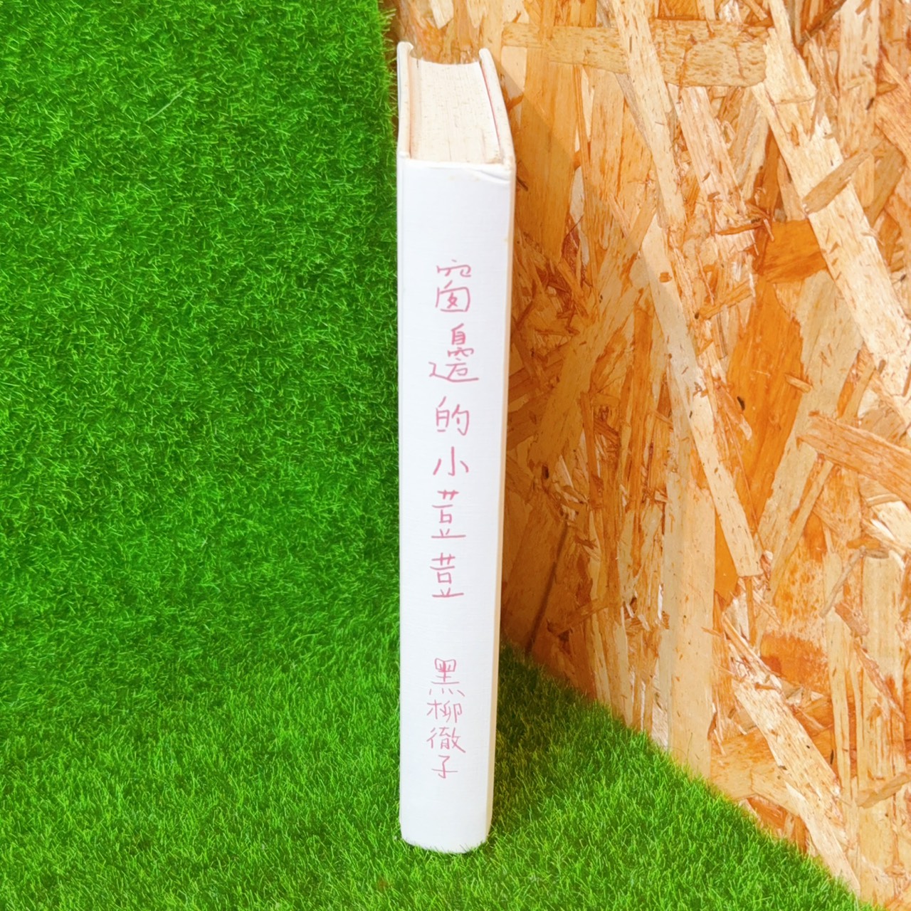 圖片載入錯誤
