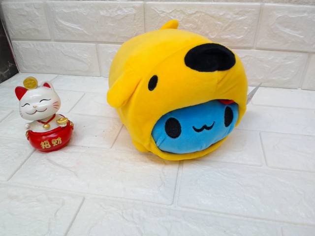 圖片載入錯誤
