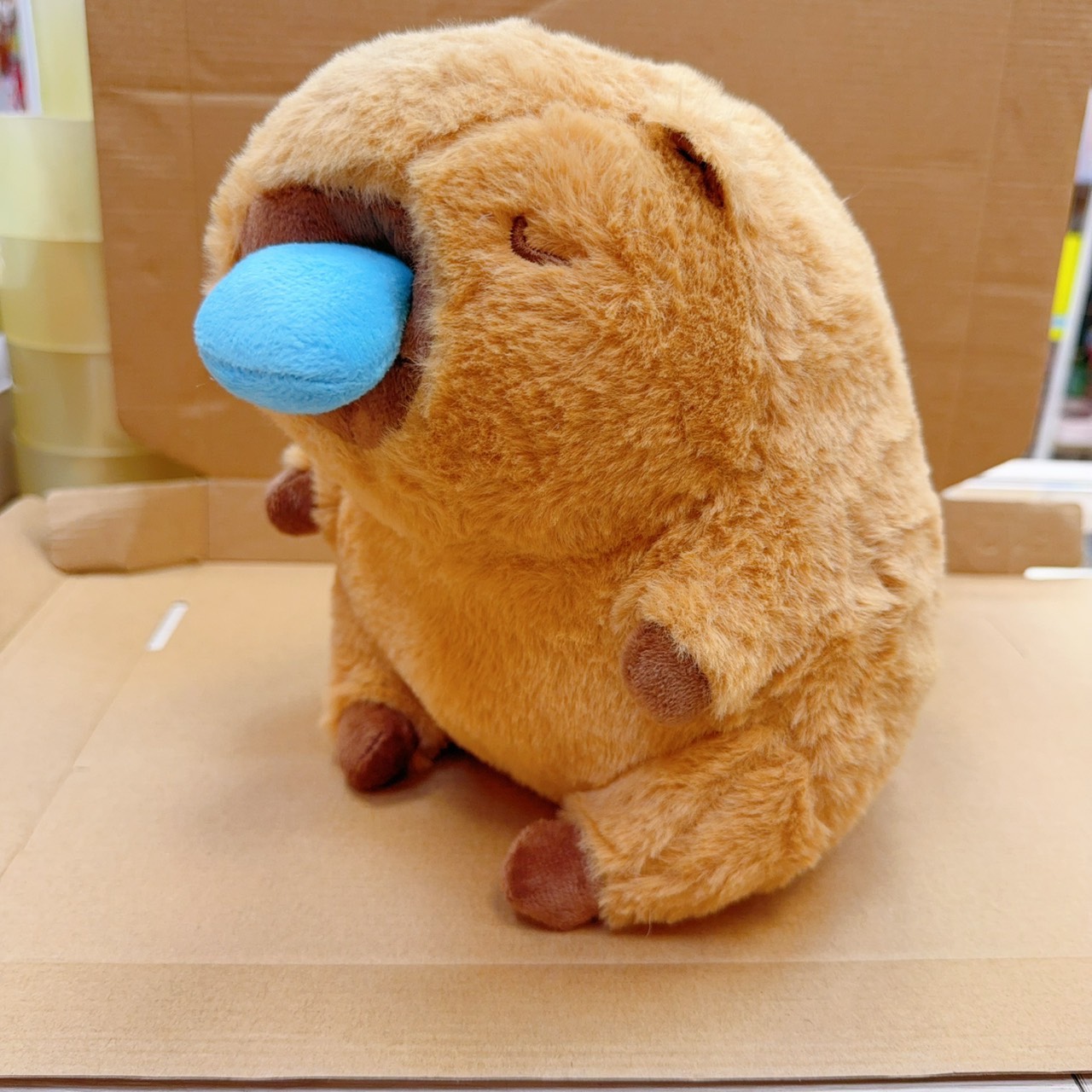 圖片載入錯誤
