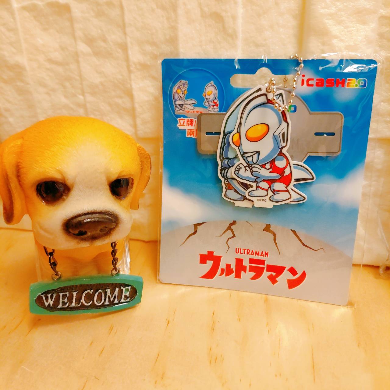 圖片載入錯誤