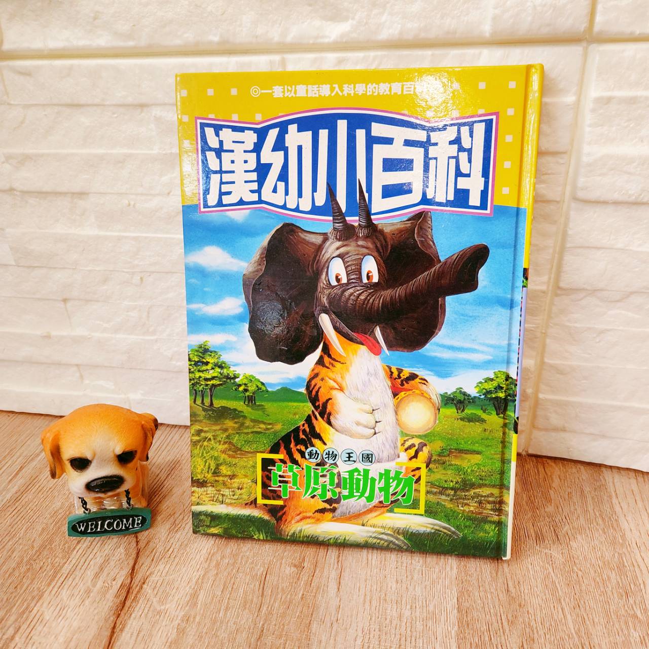 圖片載入錯誤