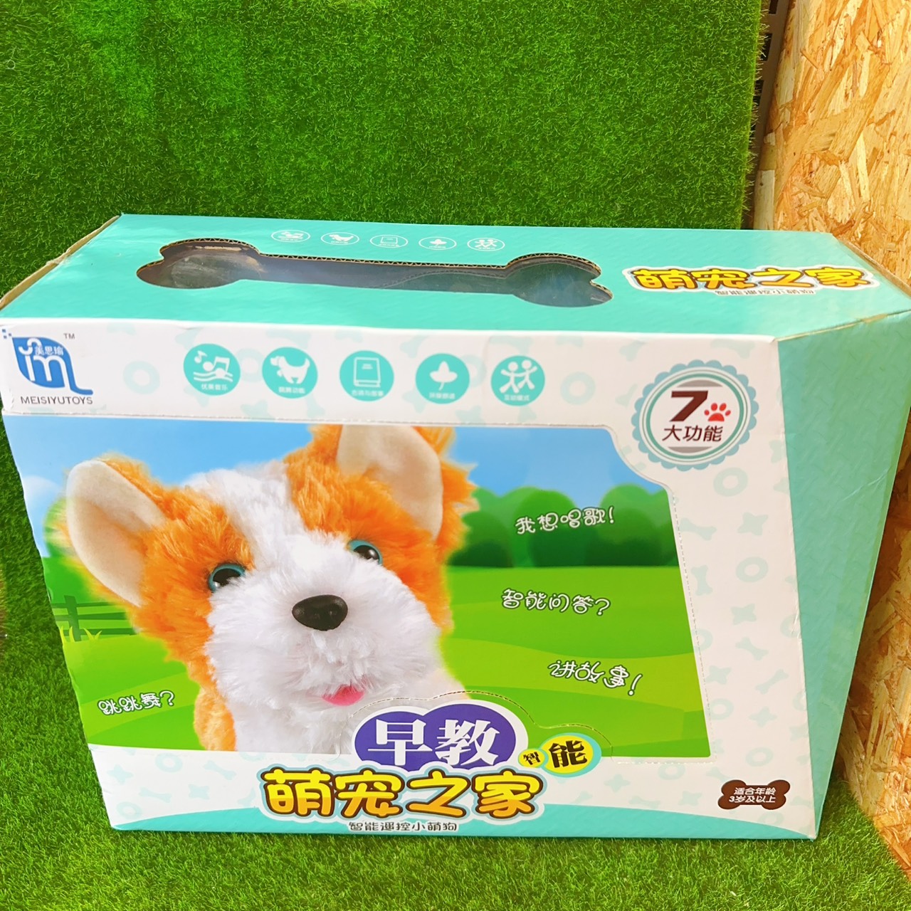 圖片載入錯誤