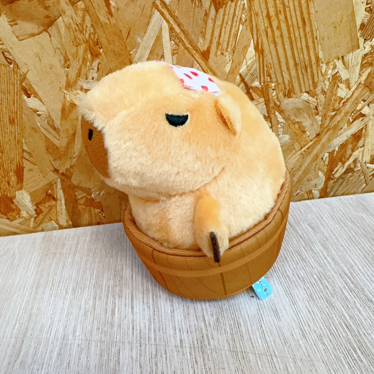 圖片載入錯誤