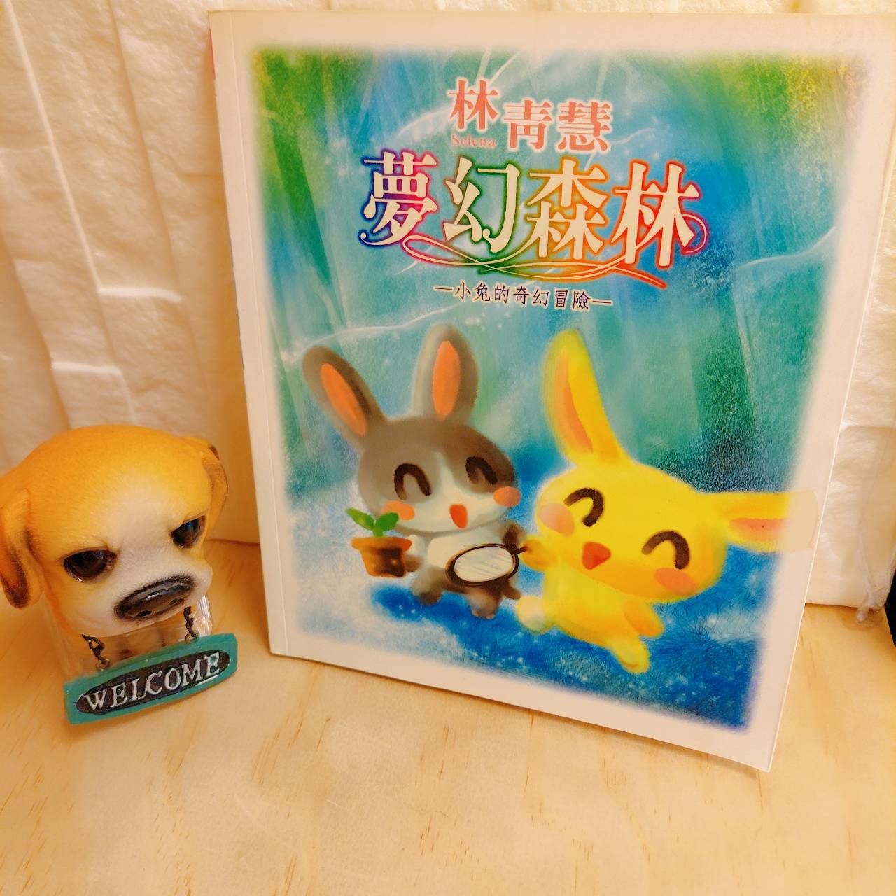 圖片載入錯誤