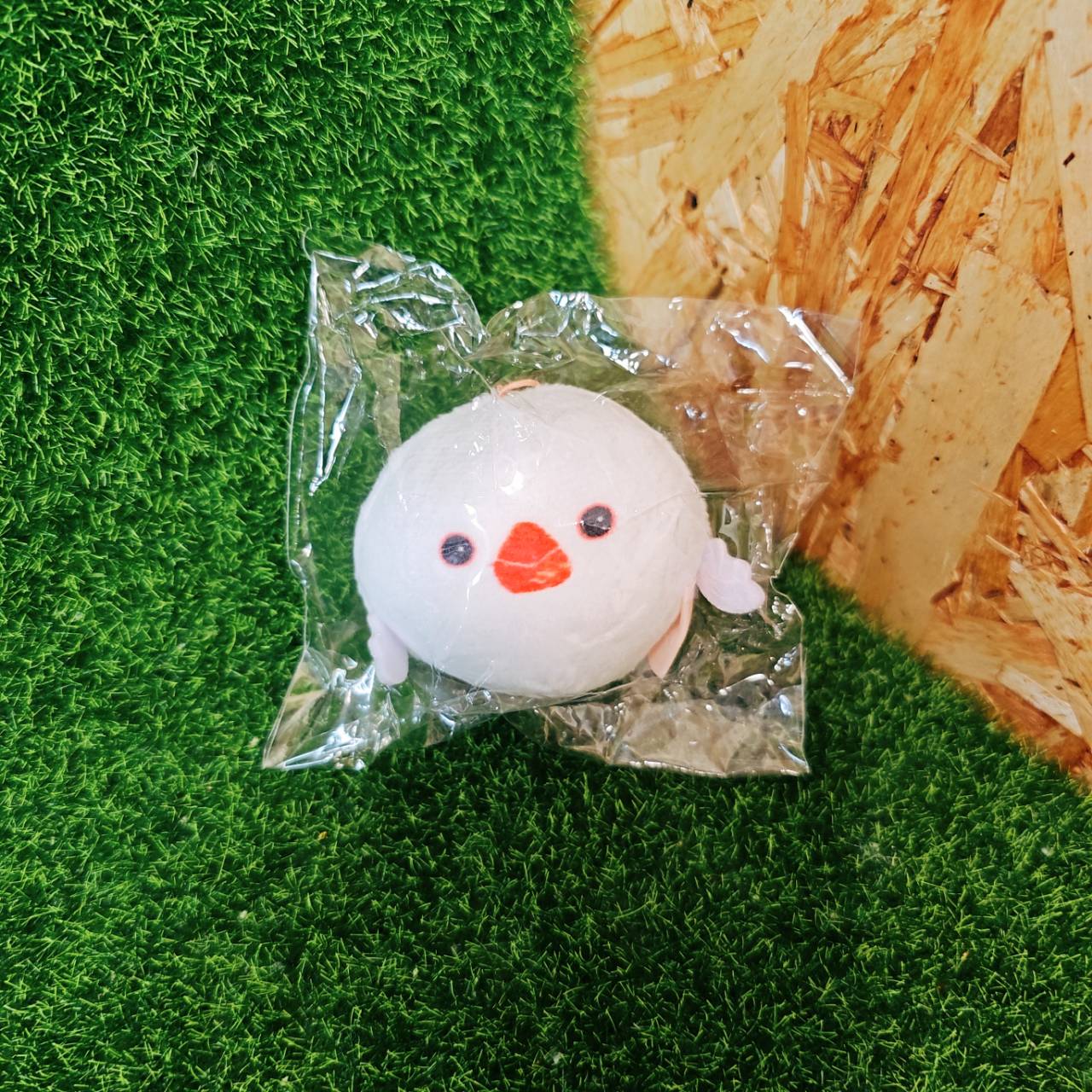 圖片載入錯誤