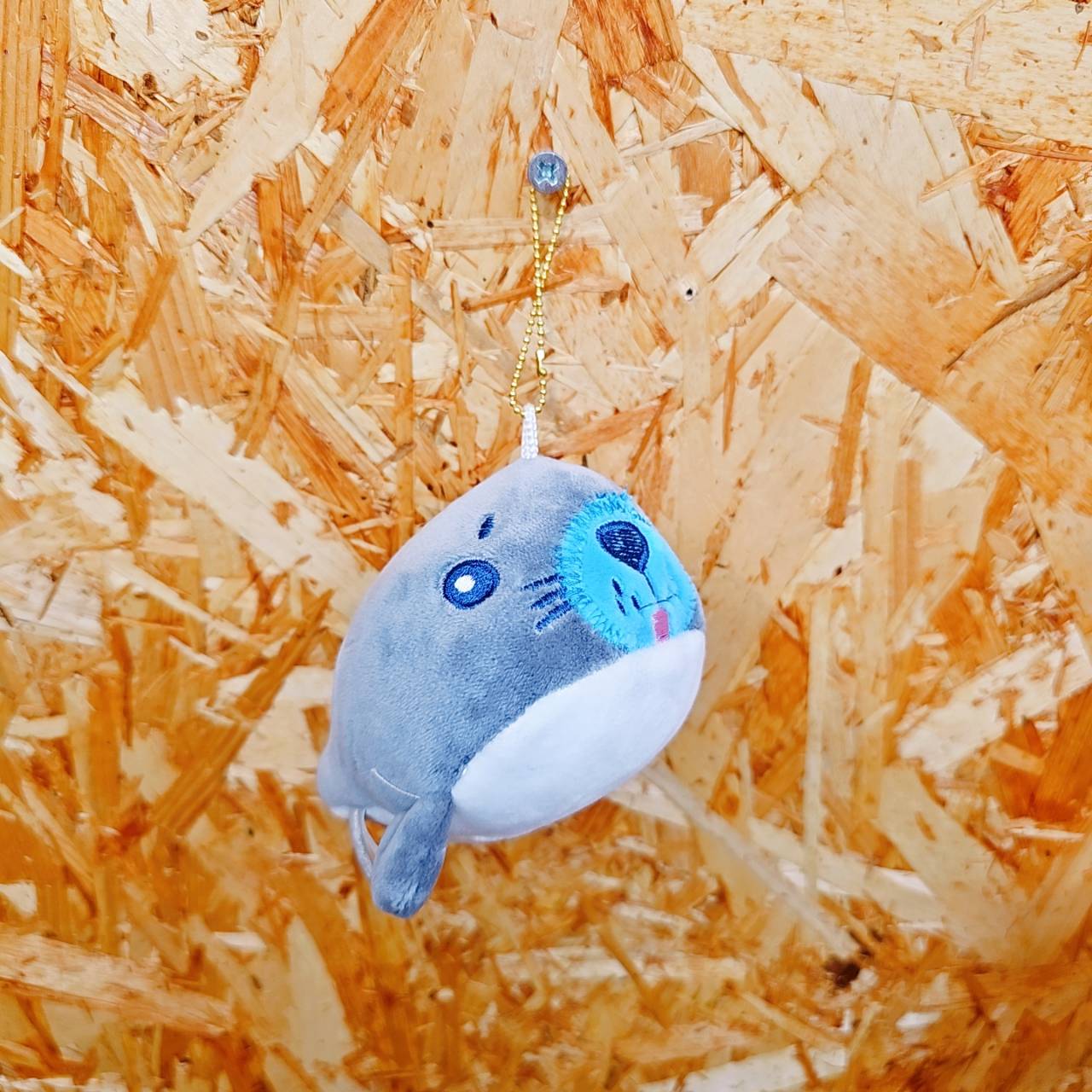 圖片載入錯誤