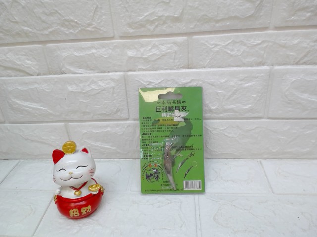 圖片載入錯誤