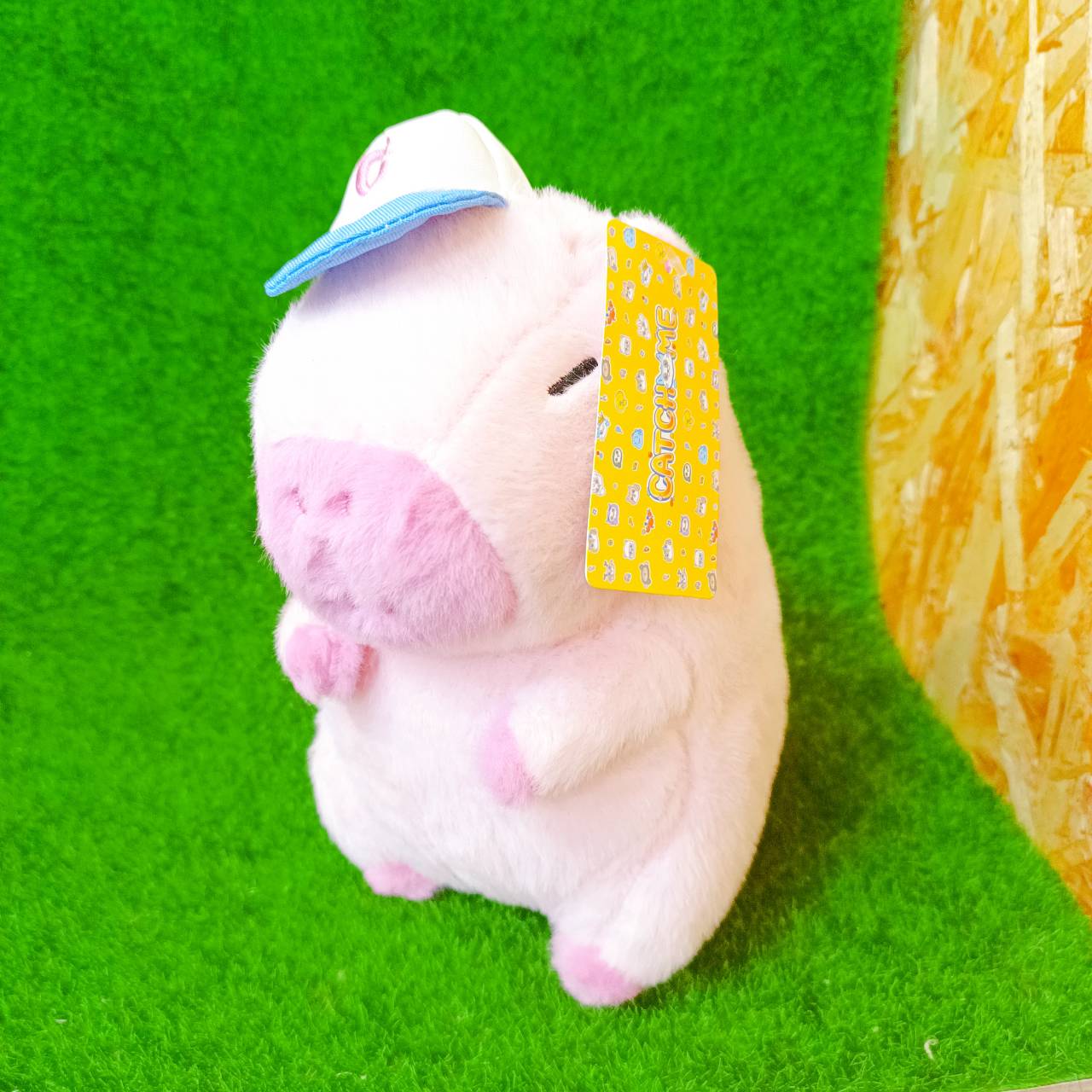 圖片載入錯誤