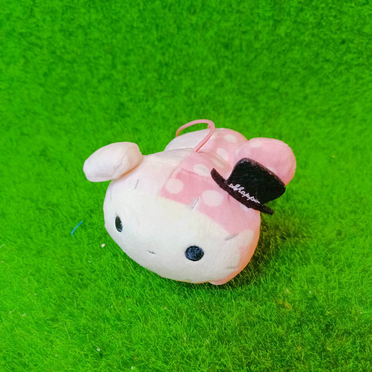 圖片載入錯誤