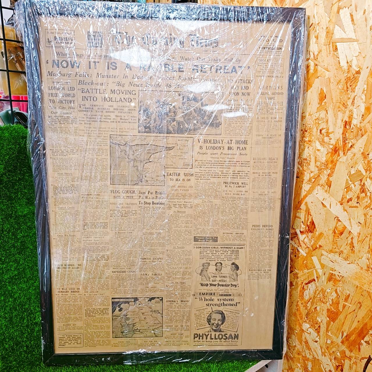 圖片載入錯誤