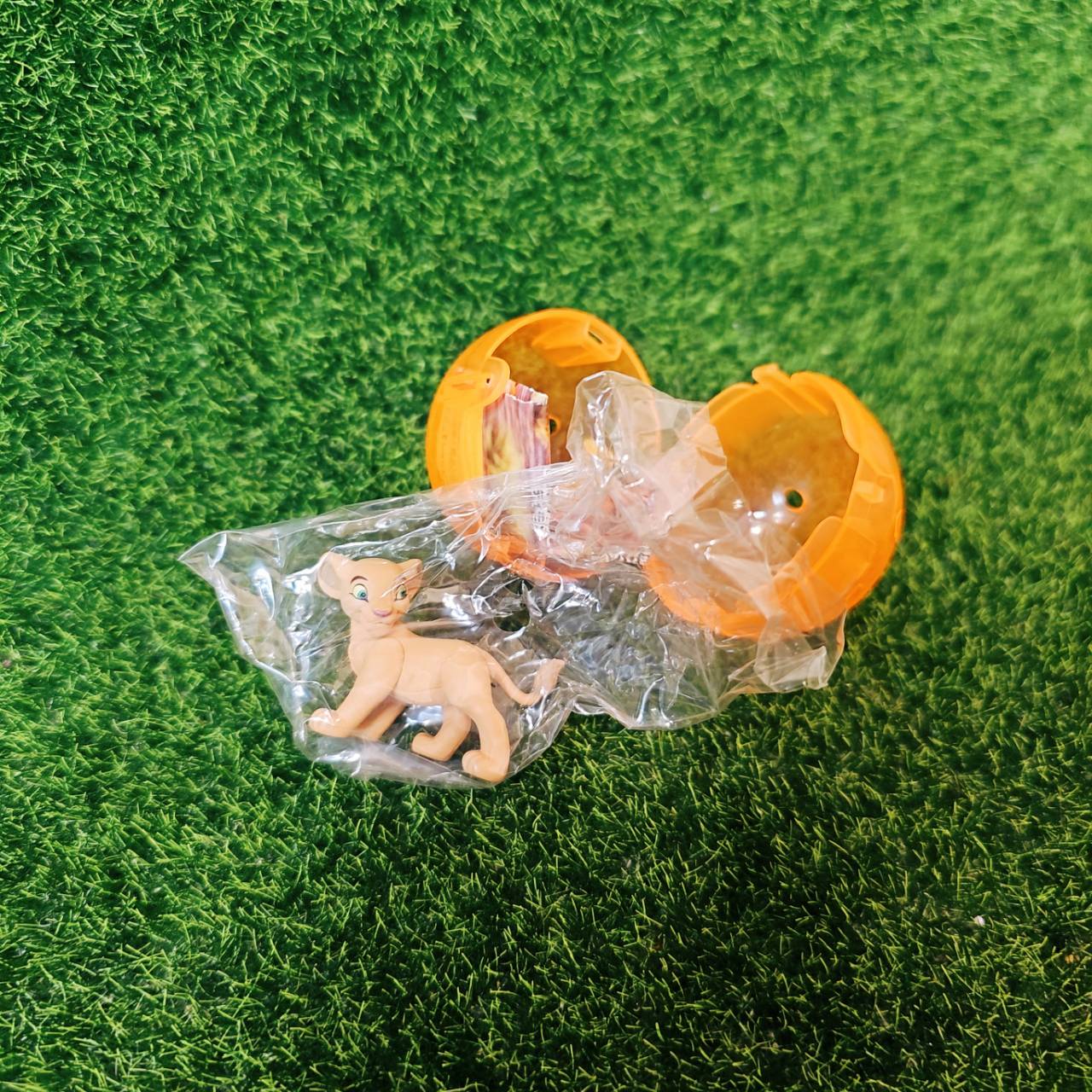 圖片載入錯誤