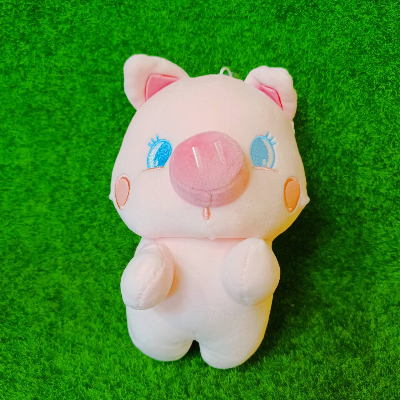 圖片載入錯誤