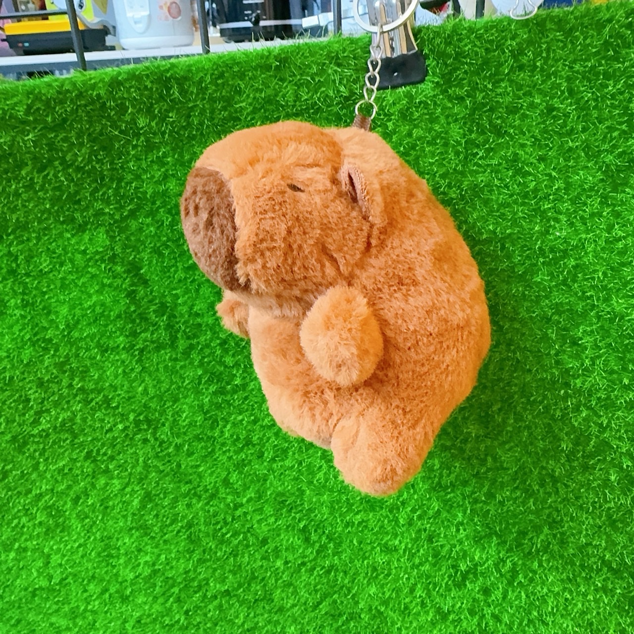 圖片載入錯誤