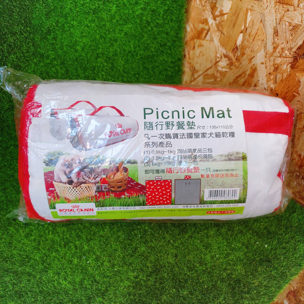 圖片載入錯誤