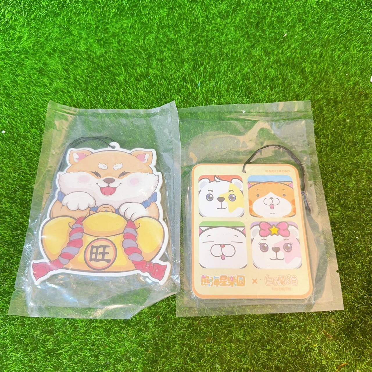 圖片載入錯誤
