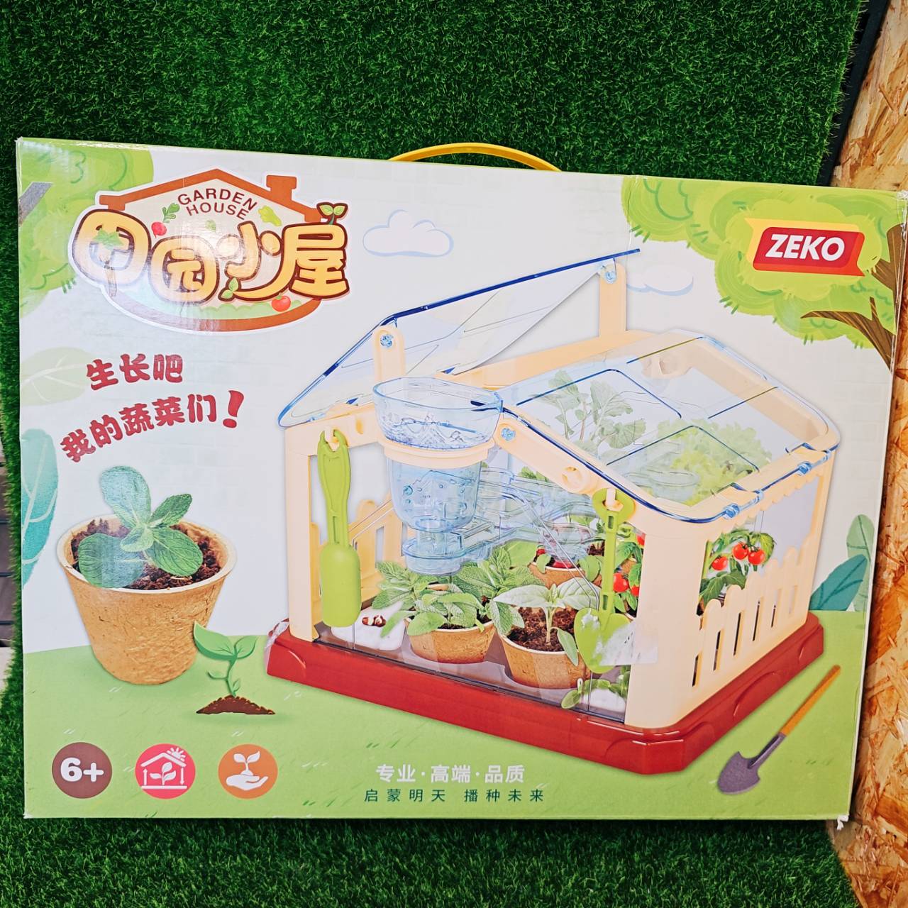 圖片載入錯誤
