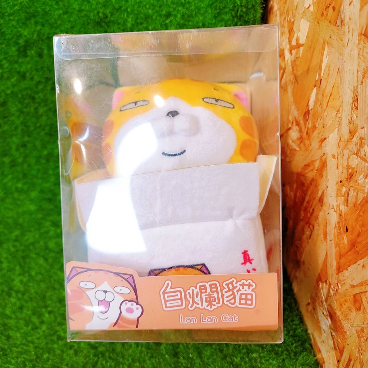 圖片載入錯誤