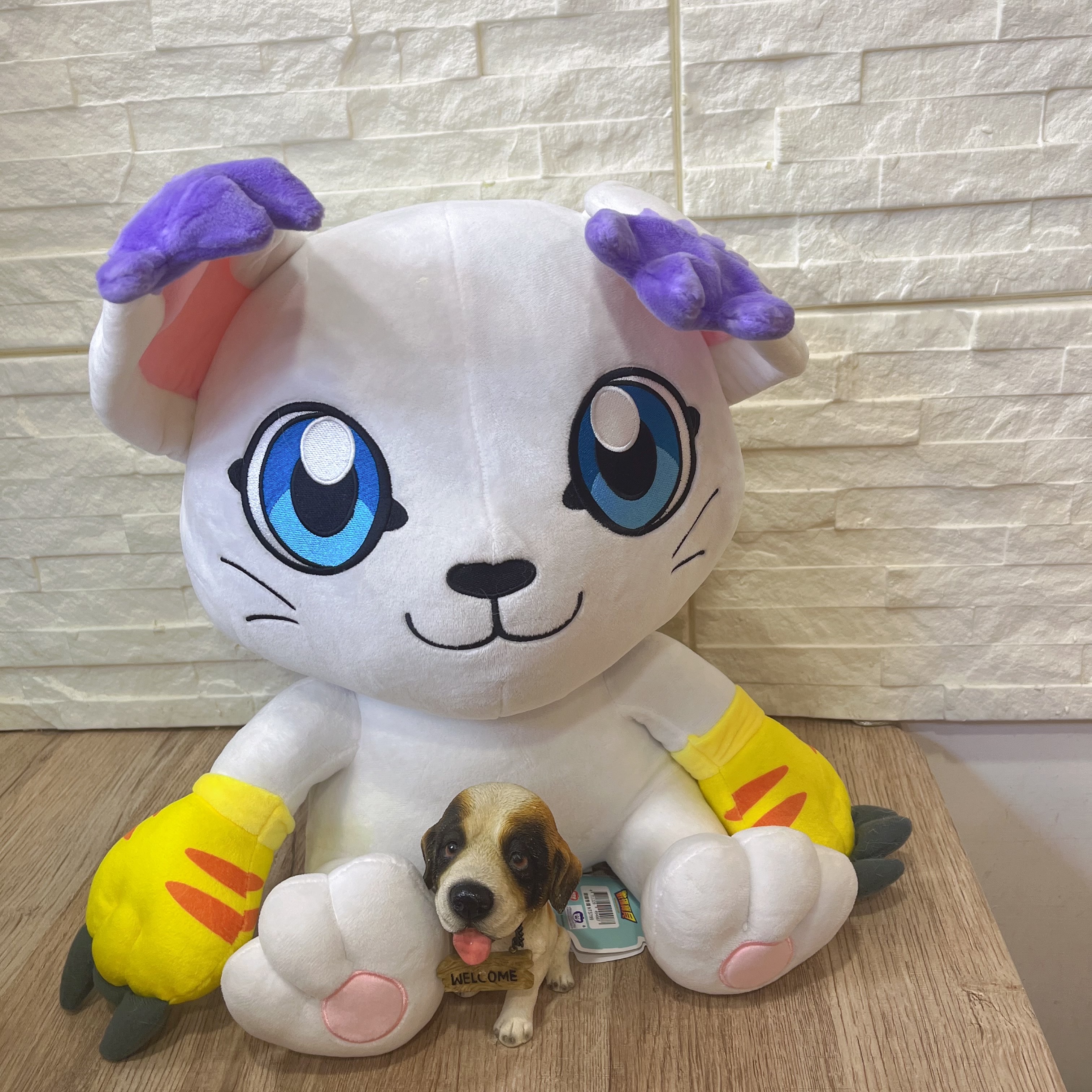 圖片載入錯誤